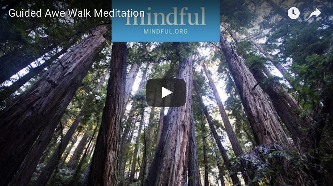 A Guided Awe Walk Meditation